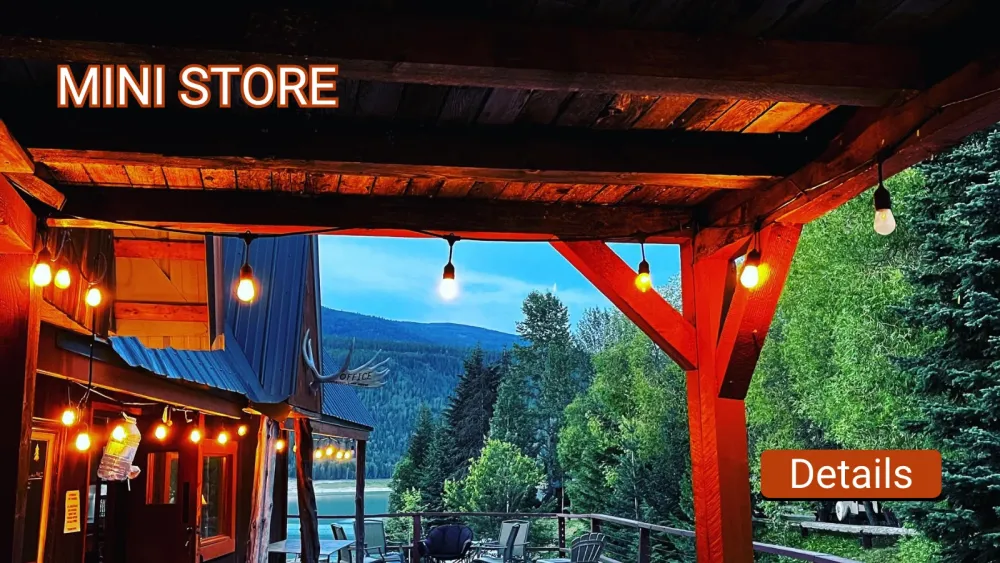 Mini Store
